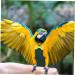 Buy MipCase 2-Pack Flying Bird Diapers for Nymphensittich & Small Chickens - Comfortable Cotton Clothing for Parrots & Ducks - Buy Online on GoSupps.com
