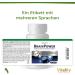 Brainpower Supplement | Ginkgo Biloba Brahmi & L-Theanine for Memory & Focus - 60 Capsules | Vitality Nutritionals by Vitaminexpress - Buy Online on GoSupps.com