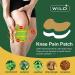 WILD+ Knee Pain Relief Patch - Maximum Strength for 24-Hour Relief from Knee, Back, Shoulder Pain and Arthritis - Buy Online on GoSupps.com