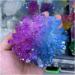 Natural Crystal Rough Crystal Cluster Beautiful Two-Color Crystal Cluster Quartz Cluster Rainbow Gem Gem Specimen Home Decoration (Size : 250-300g) - Buy Online on GoSupps.com