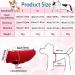 Red XL Dog Coat & Sweater for Small Dogs | Chihuahua Clothing | Winter Apparel for Indoor & Outdoor Use - Buy Online on GoSupps.com