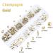 660Pcs Champagne Gold Crystal Rhinestones - Nail Art and Crafts DIY Accessories - Buy Online on GoSupps.com