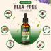 Flee flea! FLEA TREATMENT FOR CATS | CAT FLEA TREATMENT SPOT ON APPLICATION | FLEA AND TICK TREATMENT FOR CATS | WORKS WELL ON ALL BREEDS FOR A SPOT ON FLEA TREATMENT FOR CATS - Buy Online on GoSupps.com