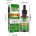 GIMOCOOL Rosemary Essential Oil 30ML Rosemary Hair Oil for Hair Growth Organic Hair Serum to Nourish Scalp and Stimulate Hair Growth - Buy Online on GoSupps.com