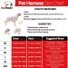 Pawpawify Personalized Dog Harness - Anti-Pull Durable & Comfortable for Training - Fits 28-38in Chest - Red - Buy Online on GoSupps.com