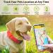 AirTag Dog Collar for Small Medium Large Dogs - Red Neoprene Padded Cat Collar with Silicone Holder - Small Size 9''-16'' Neck - Buy Online on GoSupps.com