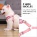 Rennaio No Pull Dog Harness & Leash Set - Adjustable Ultra Breathable Padded Vest for Small & Medium Dogs - Pink XL - Buy Online on GoSupps.com