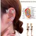 Beautification Magnetotherapy Body Detox Butterfly Earrings Non Piercing Magnetic Acupressure Slimming Earrings Butterfly Ear Cuffs Non Pierced Acupressure Slimm_ing Earrings for Women (2pcs-silver) - Buy Online on GoSupps.com