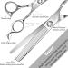 Fengliren High-end Professional Hair Thinning Scissors Hair Cutting Teeth Shears Barber Hairdressing Texturizing Scissors Extremely Very Sharp 6.5 Inch Stainless Steel Alloy For Men Women Salon & Home 6.5inch Thinning Shears - Buy Online on GoSupps.com