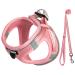 Dog Harness Small Dogs Pink Padded Puppy Harness Dog Harness Harness Dogs Small SS Pink