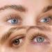 PERMANIA 2 IN 1 Brown Lash & Brow Color Kit | Fast 10 Mins Coloring for Eyebrows and Eyelashes - Buy Online on GoSupps.com