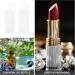 25pcs Transparent Lip Gloss Boxes - Clear Lipstick Holders & Portable Lip Balm Pouches for International Shipping - Buy Online on GoSupps.com