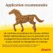 JOSERA Mash Rapide 15 kg | Premium Horse Food | Flax Seed and Mineral Mash | Grain Free | For Shiny Hair and Healthy Hooves | 15kg Bag - Buy Online on GoSupps.com