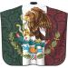 Mexico Paisley Flag Barber Cape | Professional Waterproof Hair Cutting Apron | Adjustable Snap Closure | 55" x 66" | Salon & Home Use - Buy Online on GoSupps.com