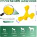 Indestructible Cvalin Kielzeugen for Aggressive Large Breed Horses - Durable Rubber Dog Toys & Cleaning Toothbrush (Yellow-A) - Buy Online on GoSupps.com