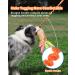 SCHITEC Dog Tug Toy - Interactive Bungee Rope Toy with Squeaky Sound for Small, Medium, Large Dogs - Buy Online on GoSupps.com