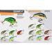 Bomber Square A Crankbait Fishing Lure Apple Red Crawdad 1 5/8-Inch - Buy Online on GoSupps.com
