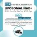Liposomal NAD+ 1000 mg Supplement | High Bioavailability Liposomal Delivery | Cellular Energy & Wellness Support | Pure NAD+ Dietary Supplement for Men Women 60 Softgels 60 Count (Pack of 1) - Buy Online on GoSupps.com