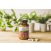 ORGANIC INDIA Psyllium Herbal Powder - Whole Husk Fiber Capsules for Healthy Elimination | Keto Friendly, Vegan, Gluten-Free | USDA Certified Organic, Non-GMO | 36 Servings - Buy Online on GoSupps.com