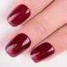 Sheer Gel Nail Polish Jelly Dark Red Translucent Color UV/LED Light Cure Gel Polish for Nail Art DIY Manicure and Pedicure at Home 0.5 fl oz - Buy Online on GoSupps.com