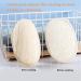 Natural Loofah Sponge Exfoliating Body Scrubber - 2 Pcs Shower Set for Exfoliation, Scrubbing Pads for Women and Men - Buy Online on GoSupps.com