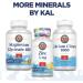 KAL Magnesium Orotate 200mg - 60 Tablets | High Absorption Formula - Buy Online on GoSupps.com