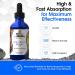 AISOMVA Colloidal Silver Liquid with Dropper Mild Silver Protein 40ppm | High Absorption Pure & Clean Formula | Made in USA GMP Compliant (4 Fl Oz) - Buy Online on GoSupps.com