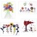 35 Colors 5mm x 54cm Paper Quilling Strips Set for DIY Craft Projects - Buy Online on GoSupps.com