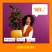 WiZ Connected Color B12 Smart WiFi Light Bulb | 2200K - 6500K + RGB 16 Million Colors | Works with Alexa, Google Assistant, Siri | No Hub Required | 1 Count - Buy Online on GoSupps.com