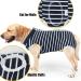 Shop XL Blue Striped Doton Hospital Suit for Dogs & Cats | Wound Protection Medical Clothing & After Surgery Cone Replacement - Buy Online on GoSupps.com