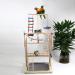 AHANDMAKER Bird Step Wood Ladder Natural Wood Bird Climbing Toys Birds Steps Climbing Bridge Wooden Ladder for Parrot Parakeet Cockatoo Lovebirds Budgie - Buy Online on GoSupps.com