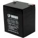 Buy 12V 4.5AH SLA Sealed Lead Acid Battery UB1245 UB1250 SLA1250 PS1250 for Alarm Medical Solar UPS | Fast International Shipping - Buy Online on GoSupps.com