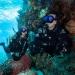 TUSA SP-0101 Hyperdry Elite II Diving Snorkel - Black/Fishtail Blue - Buy Online on GoSupps.com