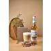 MONIN - Vanilla without sugar caramel without sugar and hazelnut without sugar - Natural flavors - 3x70 cl - Buy Online on GoSupps.com