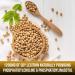 Soy Lecithin Capsules 1200mg - Immune Support Supplement | Brain & Heart Health | 100 Softgels, Made in USA - Non-GMO - Buy Online on GoSupps.com