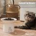 Extra Wide Ceramic Raised Cat Bowls - Set of 2 White - Elevated Porcelain Pet Food and Water Dishes for Big Cats and Small Dogs - Buy Online on GoSupps.com