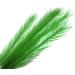 BEGONDIS Aquarium Decorations 3Pcs Silk & Plastic Green Water Plants for Fish Tank - 11 Inches - Buy Online on GoSupps.com