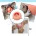 Zerodis Pet Silicone Feeder with 3 Nipples for Newborn Pets - Kittens & Puppies Feeding Bowl - Buy Online on GoSupps.com