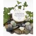 Haslinger Sheepmilk Latte di Pecora Shaving Soap 60g - Premium Quality - Buy Online on GoSupps.com