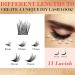 Cluster Eyelash Extensions - 165 PCS Wispy DIY Individual Lashes | Soft Mink False Eyelashes in Mixed Tray (C-8-16 Mix) - International Shipping Available - Buy Online on GoSupps.com