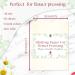 Berstuk Large A4 Flower Press Blotting Paper - Highly Absorbent & Reusable Herbarium Paper - 10 Count Pack of 10 Sheets - Cream - Buy Online on GoSupps.com