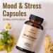 HERBAMAMA Mood Support Capsules with Ashwagandha, Rhodiola & Ginseng - Brain Function & Stress Relief - Vegan - 100 Caps - Buy Online on GoSupps.com