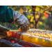 Zesty Brine 100% Pure Indian Forest Honey Daily Wellness Support Rich Cream with No Sugar Organic Honey (1kg Forest) - Buy Online on GoSupps.com