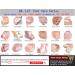 Half Toe Sleeve Metatarsal Pads | Gel Toe Separators for Bunion Relief | Forefoot Cushioning & Rapid Pain Relief for Men & Women - Buy Online on GoSupps.com