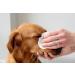 PET WIZ Eye Care Cloths for Pets | Veterinarian-Tested | Extra Large 120 Towels | Gentle & Soothing 2-Pack | 240 Total Towels - Buy Online on GoSupps.com