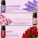 Salking Essential Oils Set | 100% Pure Aromatherapy Fragrance Oils Gift Set | 6 x 10 ml | Lavender Rose Cherry Blossom Jasmine Garden Chamomile | Ideal for Diffusers & Massage - Buy Online on GoSupps.com
