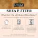 Raw African Shea Butter | Unrefined Hair & Body Moisturizer | Reduces Stretch Marks & Wrinkles | Nourishes Hair | 7.05 Oz (200g) - Buy Internationally - Buy Online on GoSupps.com