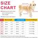 Idepet XL Black Pet Sweater - Winter Coat Jacket for Cats & Dogs | Warm & Stylish Pet Clothes - Buy Online on GoSupps.com