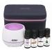 NOW Holiday Cheer Gift Case - 6 pcs 6 count