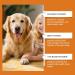 Comprim s Croquer De Vitamines pour Animaux De Compagnie pour Chiens Et Chats Nutrition Quotidienne Soutien d'un Pelage Sain Soins des Articulations Multivitamines M cher - Buy Online on GoSupps.com